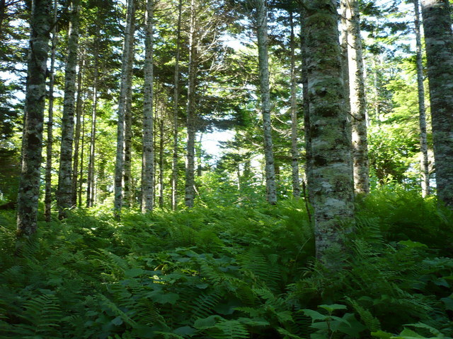 South view of confluence.