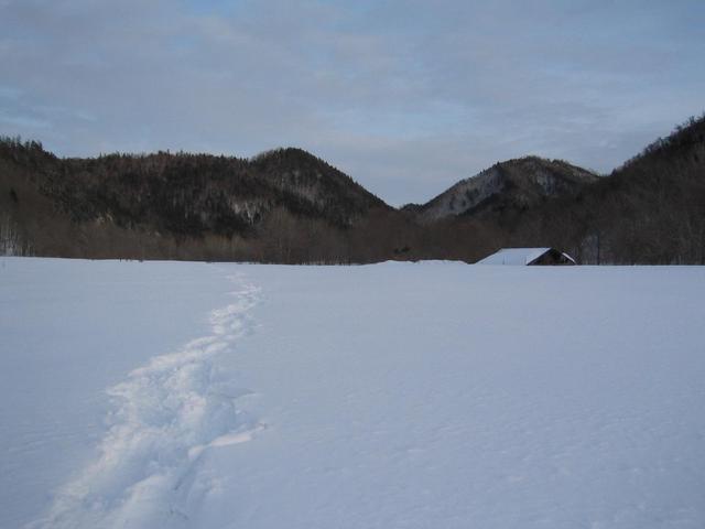 Meadow with my tracks, feed shed on right.