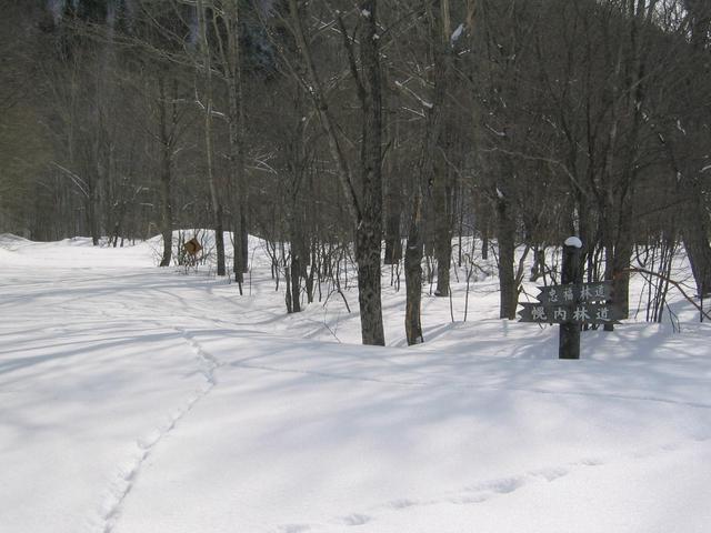 Unplowed road with road signs.