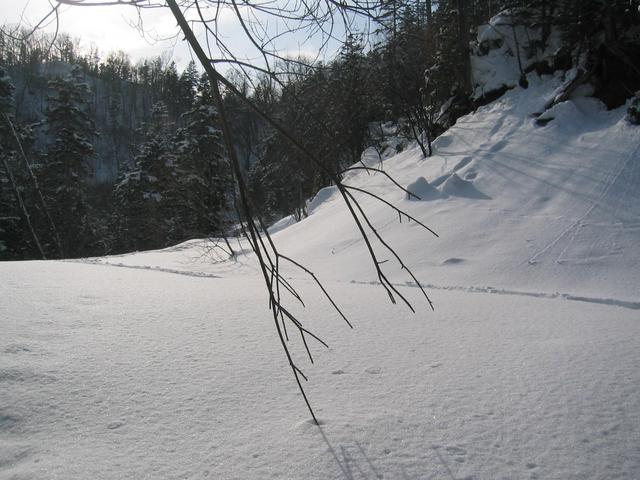 West view from the confluence