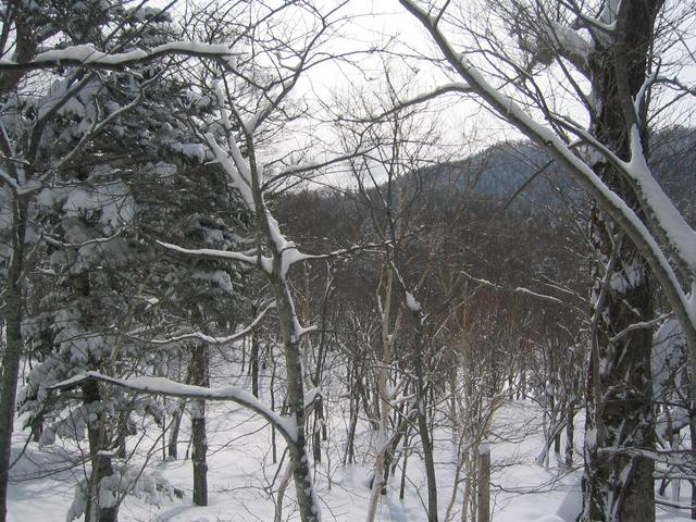 View to southeast, 3.8 kilometers from point.