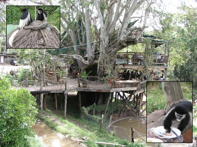 The nearby Trout-Tree Restaurant offers a perfect watering hole for hungry confluence hunters.