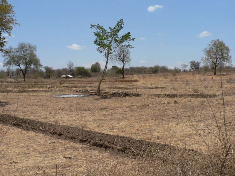 General view of the confluence area