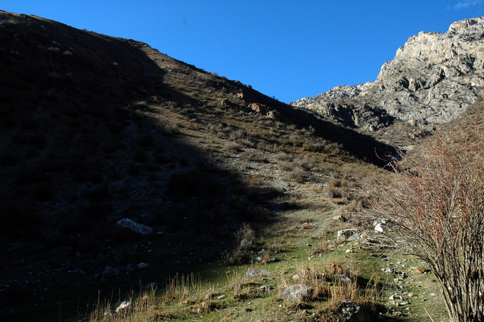 General View - looking west - CP located slightly below the ridge line