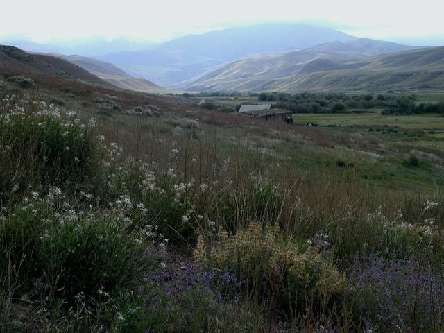 The nearest farm house from the CP - about 700 meters