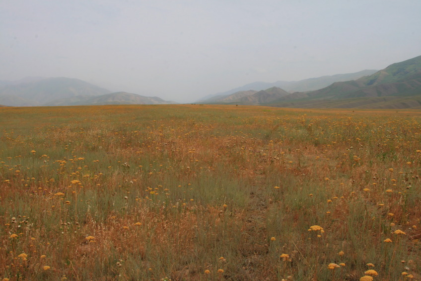 View East: Wie will drive up behind the ridge on the right side