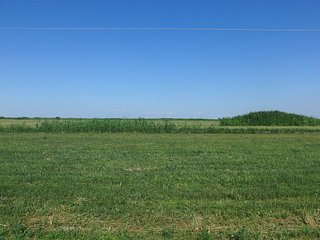 #1: View to the East - Irrigation canal and road