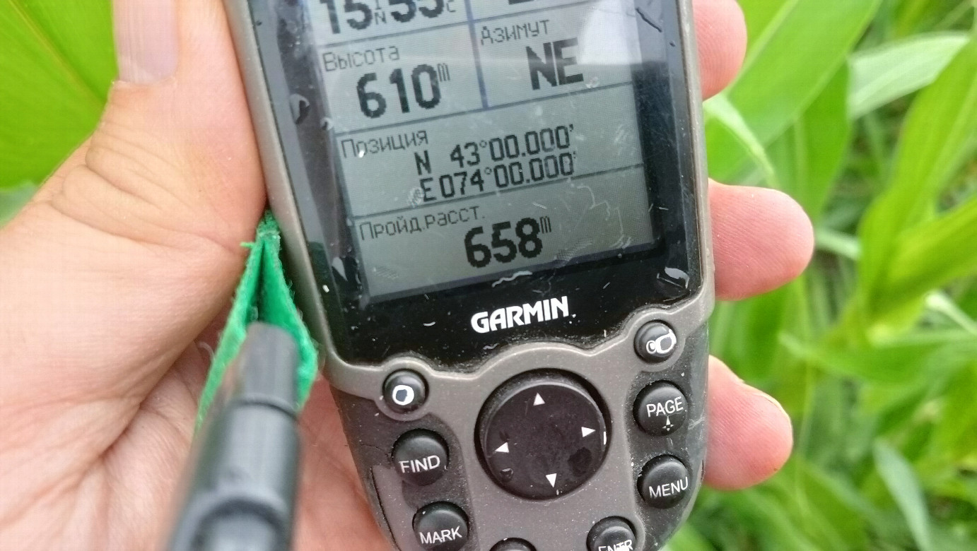 GPS reading