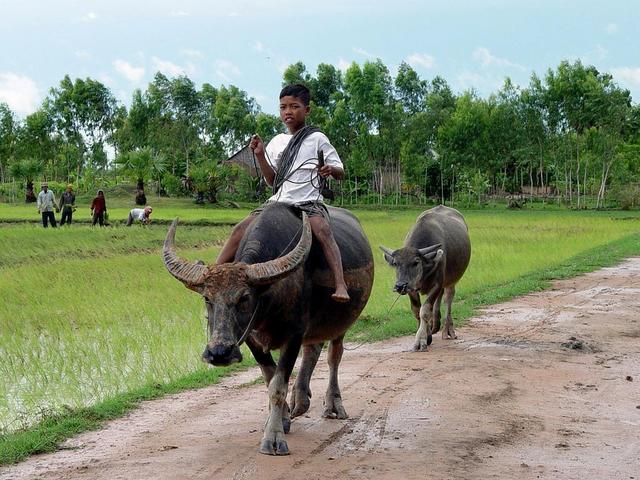 Transportation in Cambodia