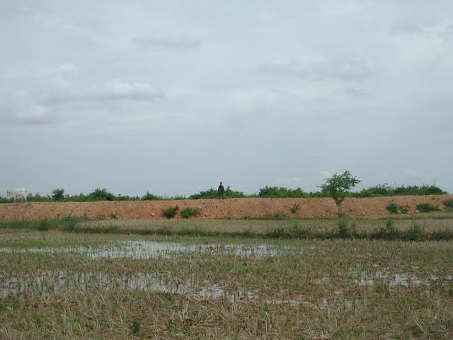 Looking South from the Confluence