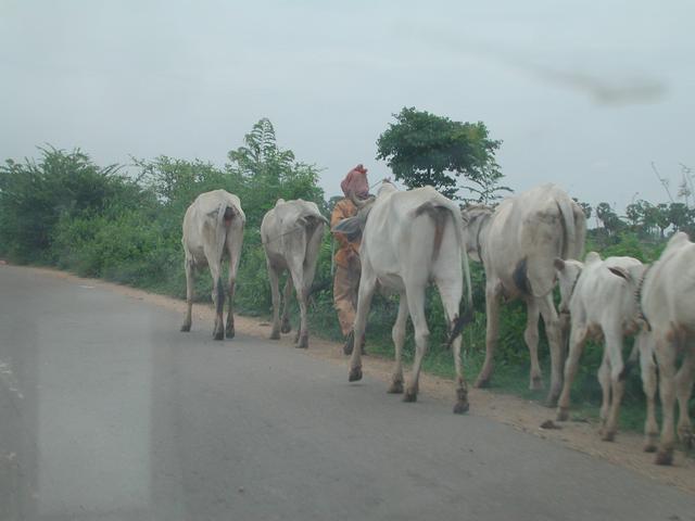 On the road to Phummi Chhuk