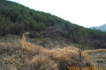 #1: Looking south; the swamp here (not very visible) prevented me from standing on the exact point a mere tens of meters away.