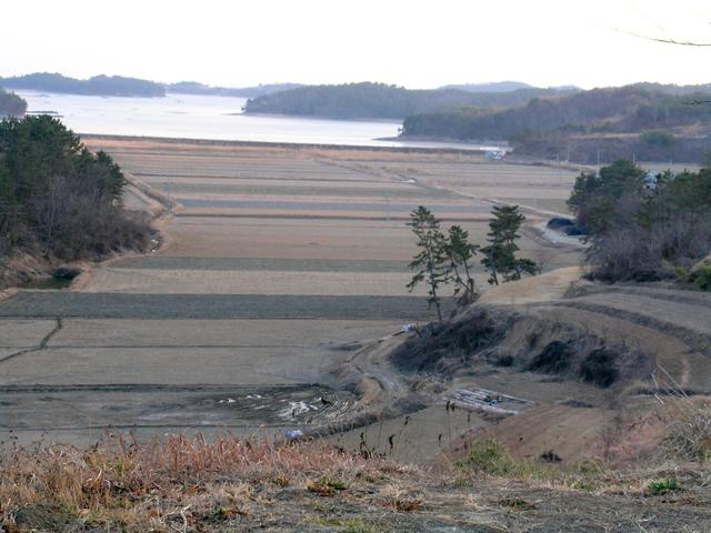 Confluence in rice field seen from the road in the north