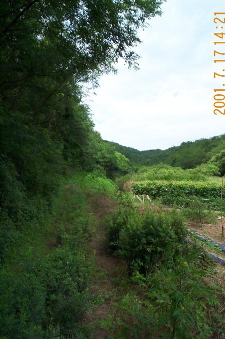 Looking north. The small road abruptly ends just past the confluence point.