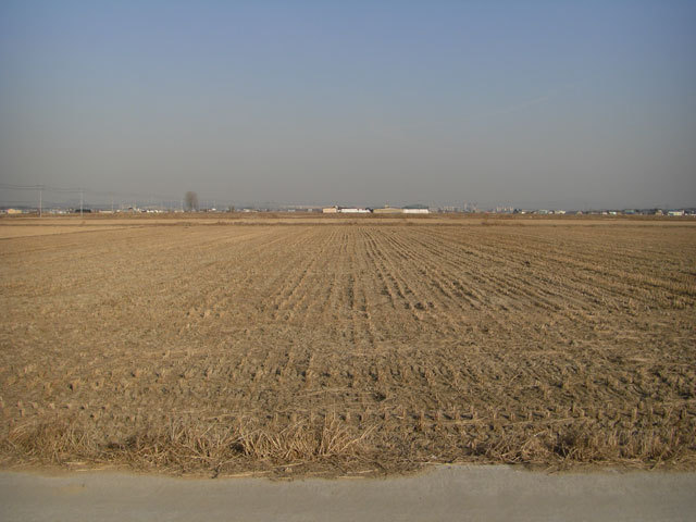 Looking east from the confluence