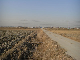 #1: Looking north from the confluence