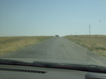 #3: A camel crossing the road near Shanaq