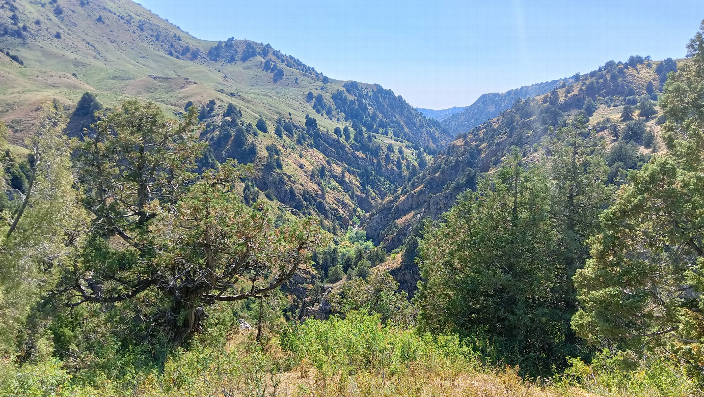 Valley of Badam river (water is very deep)