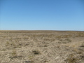 #2: From the confluence looking north