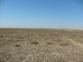 #3: From the confluence looking south