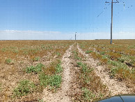 #8: Dirt road along powerline