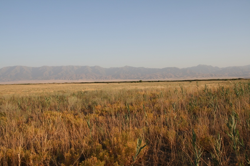 View South: Boarder to Kyrgyzstan at top of Kirgiz Range