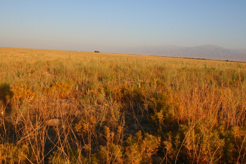 View East: dry fields and Kyrgyz Ala Too disapearing haze