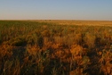 #3: View North: already dry fields