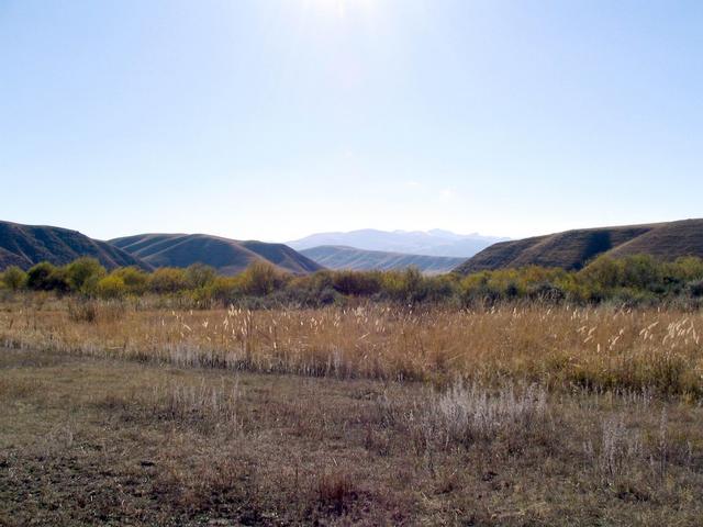 Forest where confluence point is placed