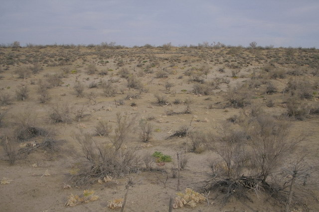 View to the confluence