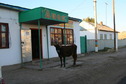 #8: Shopping at the "supermarket" at Moyynqum village