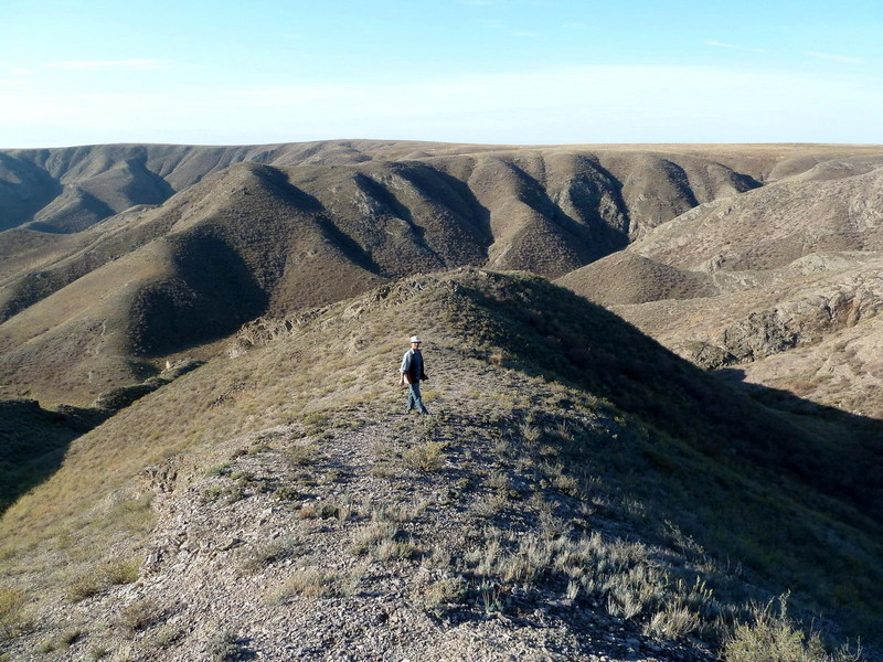 По пути на точку/On the way to the confluence