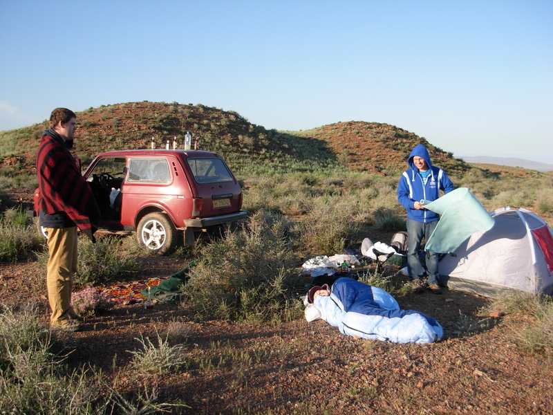 Morning on the Steppe