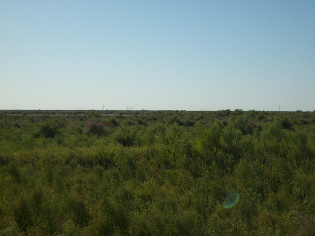 From the confluence looking west