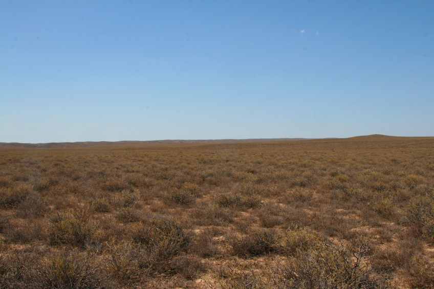 View West: West-Northwest Cairn