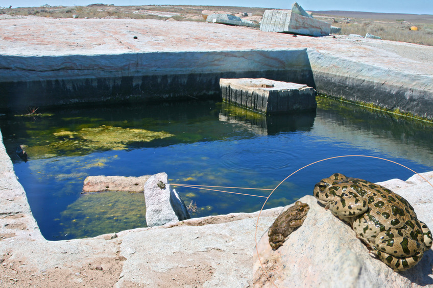 Private swimming pool in the middle of Hunger Steppe