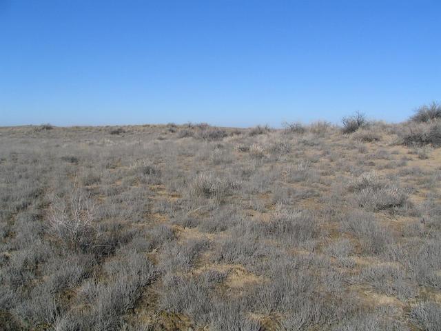 View from point to the North