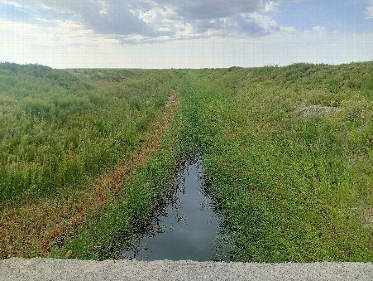 Bridge over a canal