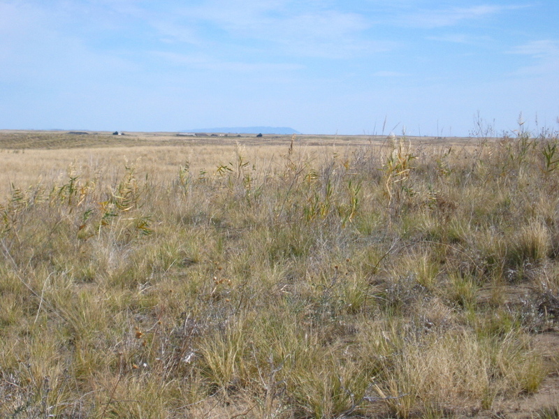 The Confluence, View to the East