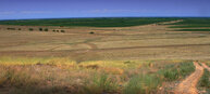 #10: view over irrigated fields at Alakol Depression