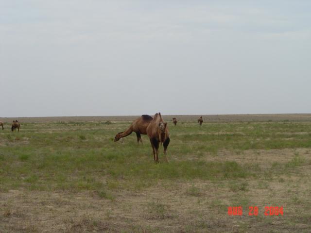 Approaching Site