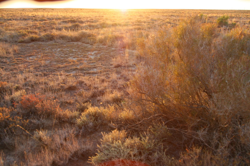 Confluence and view West against the sun