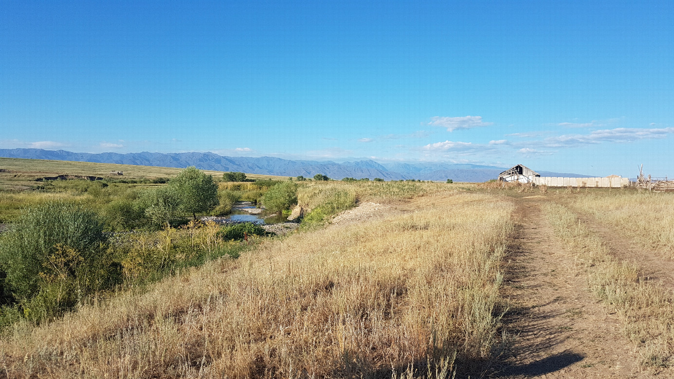 Karagayly river - eastnortheast to Tarbagatay ridge - confluence point first bush on the left