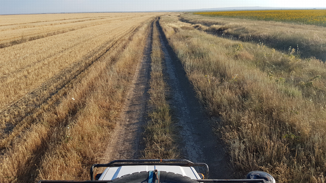 dirt roads towards to and back from confluence point