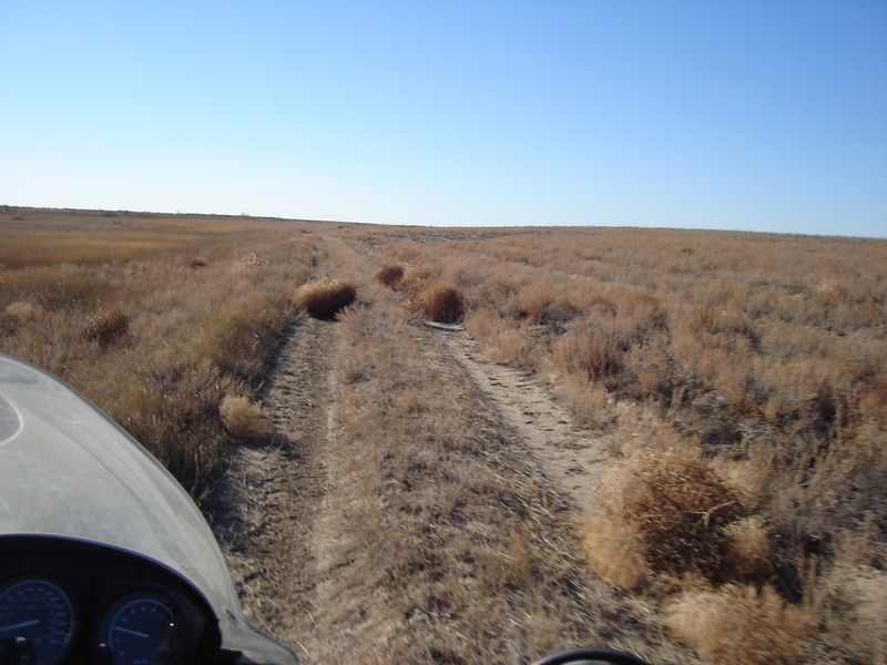 Tumble-weeds on Trail