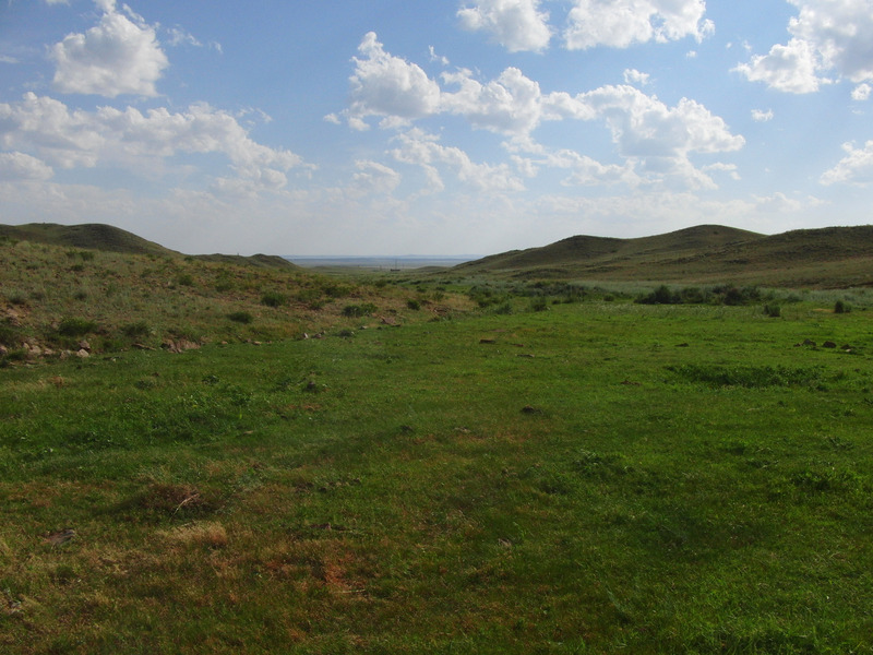 Opening towards the Steppe Truck Stop Cafe in the South