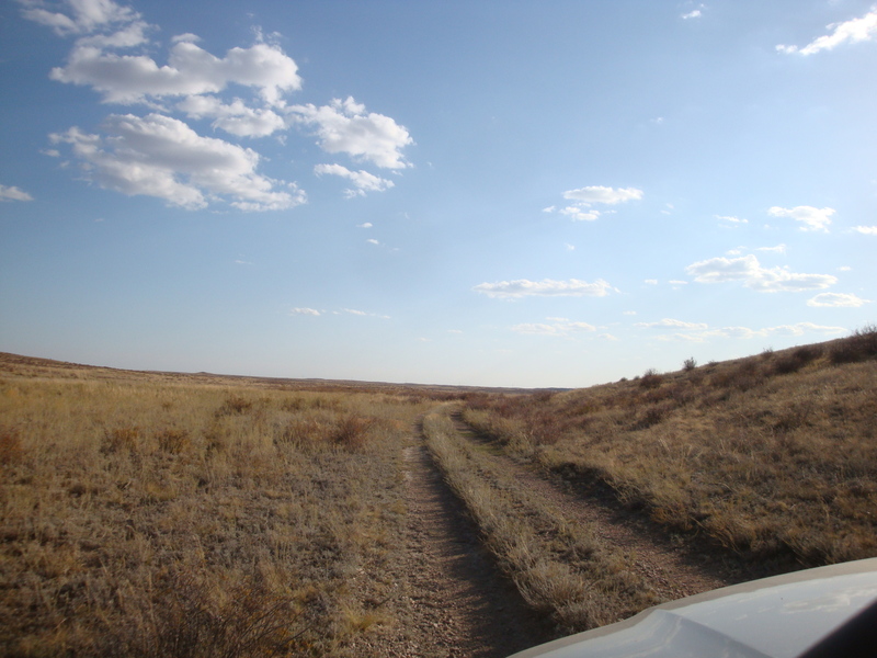 Полевая дорога / Field dirt road