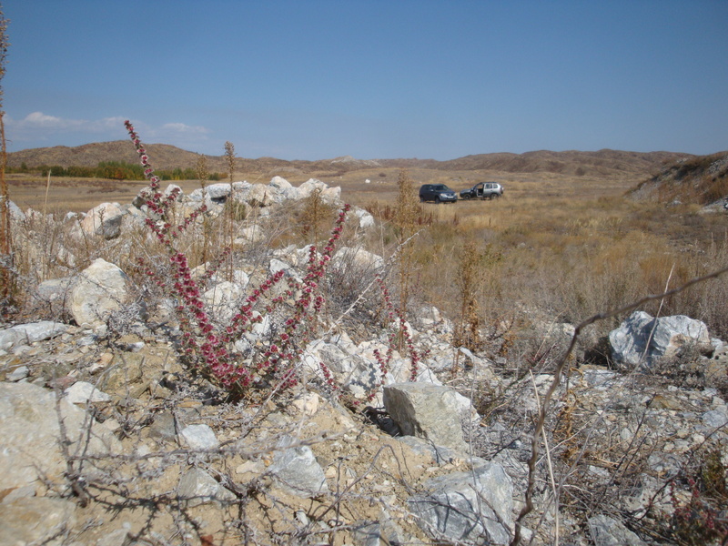 На карьере / On a quarry