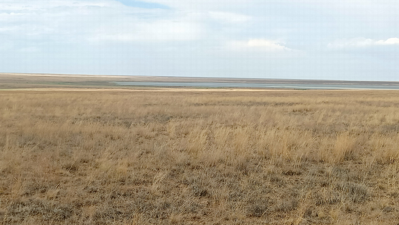 Lake at a distance