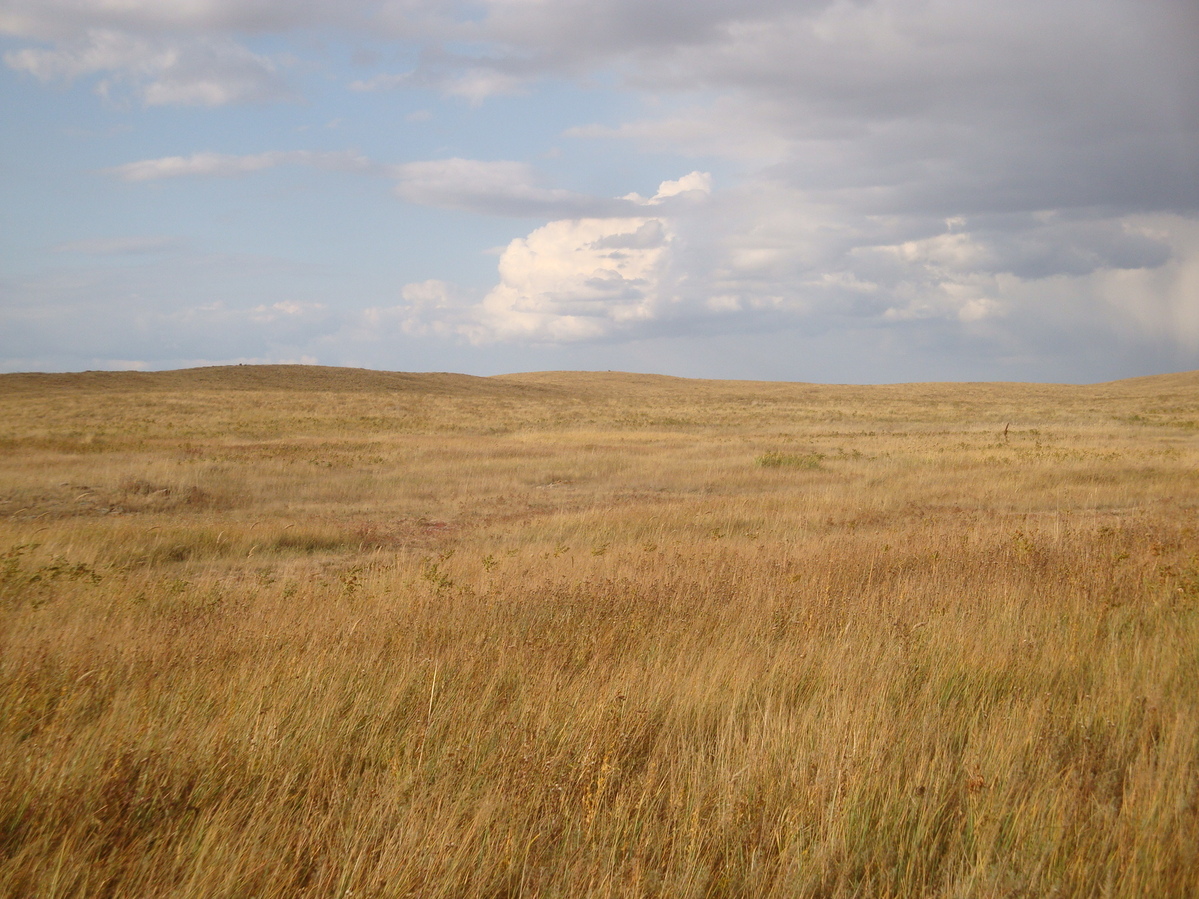 На север / North view